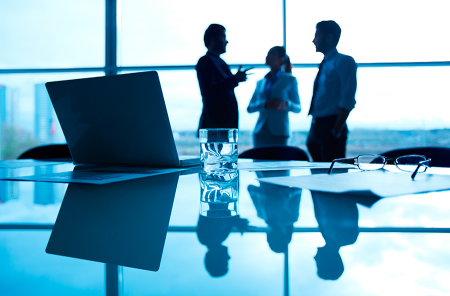 CONSULTOR�A